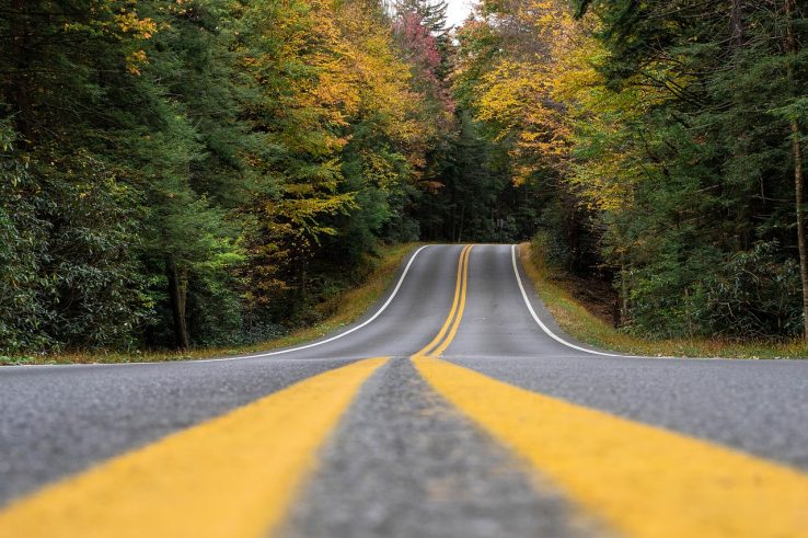 fall colors road driving