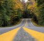 fall colors road driving